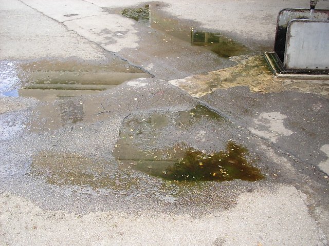 S2501730.JPG, 357 KB