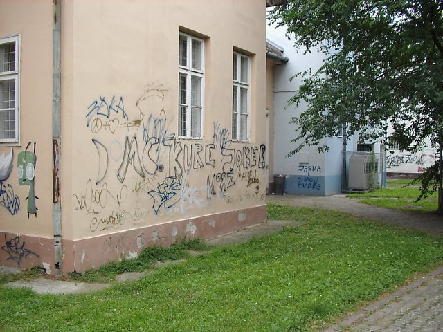 S250174.JPG, 353 KB
