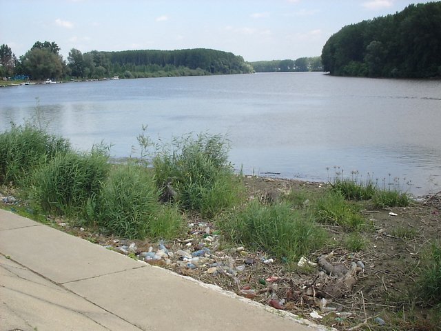 S2501770.JPG, 320 KB