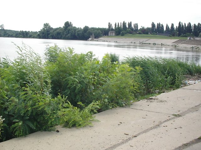 S2501772.JPG, 305 KB